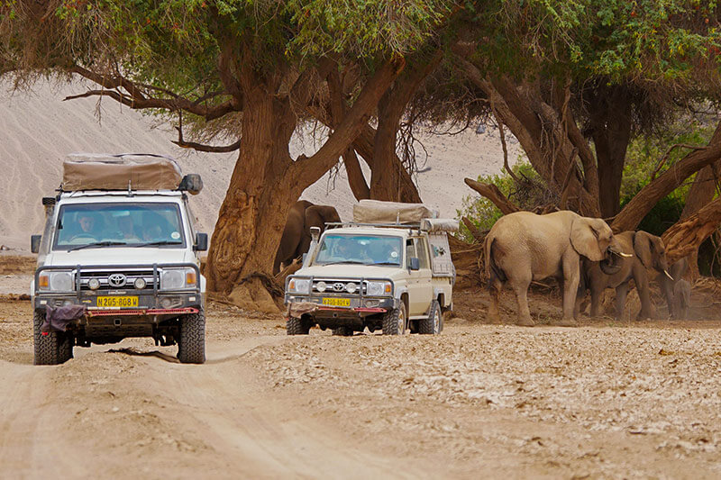 Namibia-Private-Guided-Safari-Tours-Convoy-03