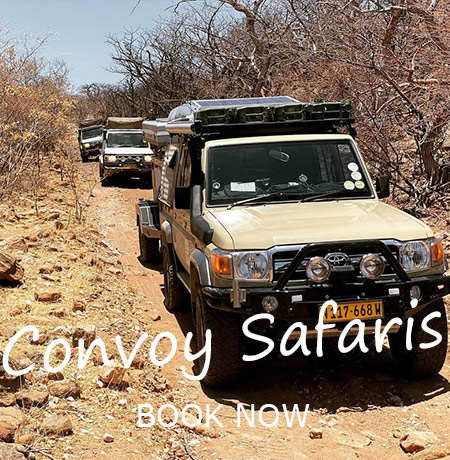 Namibia-Private-Guided-Safari-Tours-Tours-in-Convoy-04