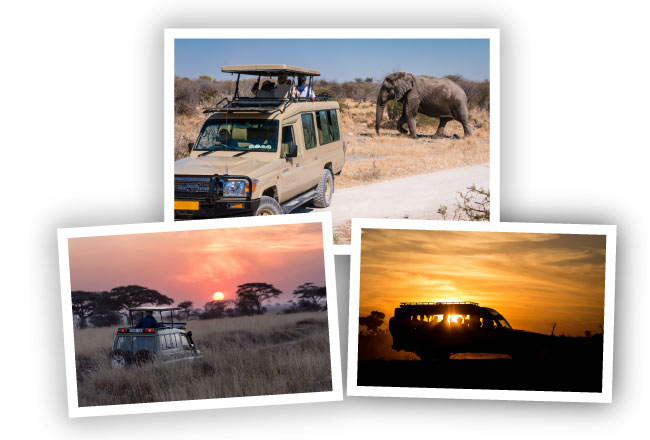 Explore-Namibia-What-We-Offer-Private-Safari-Landcruiser