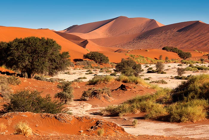 Namibië-Prive-safari-rondreis-met-gids-en-chauffeur-Namib-Desert