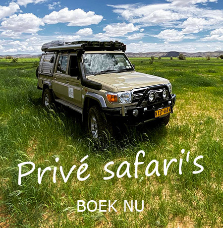 Namibië-Prive-safari-rondreis-met-gids-en-chauffeur-02
