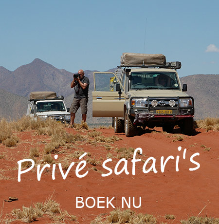 Namibië-Prive-safari-rondreis-met-gids-en-chauffeur-03