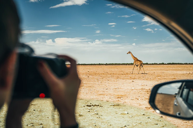 Explore-Namibia-Photo-Safari-Tours