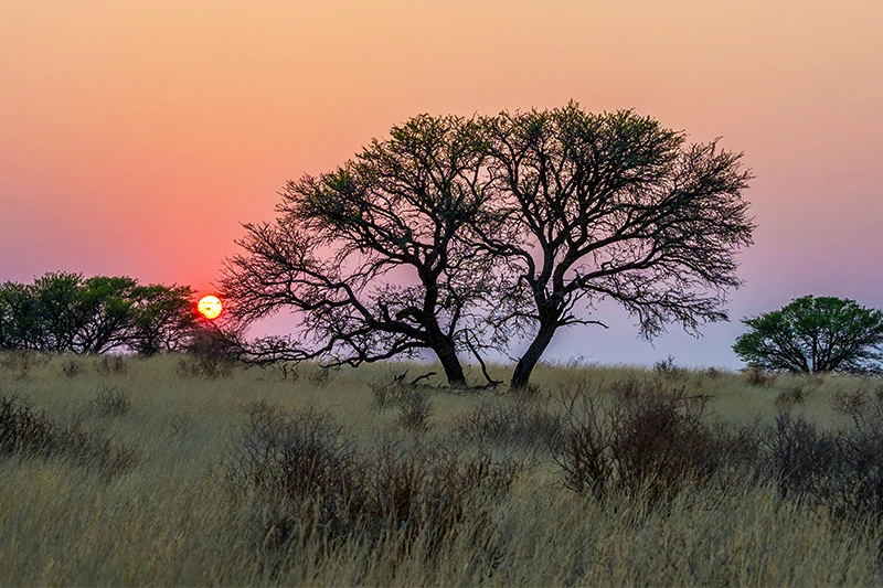 Guided Namibia Photography Tour South-Kalahari-Desert