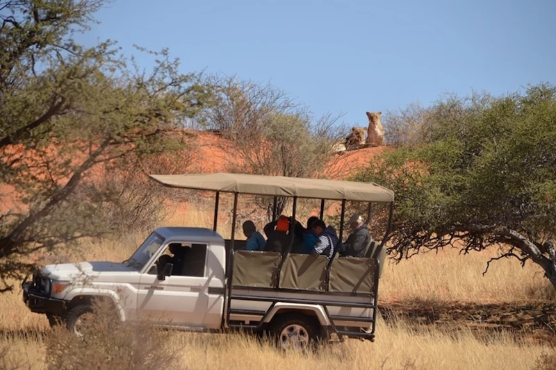Guided Namibia Photography Tour South-Kalahari-Desert