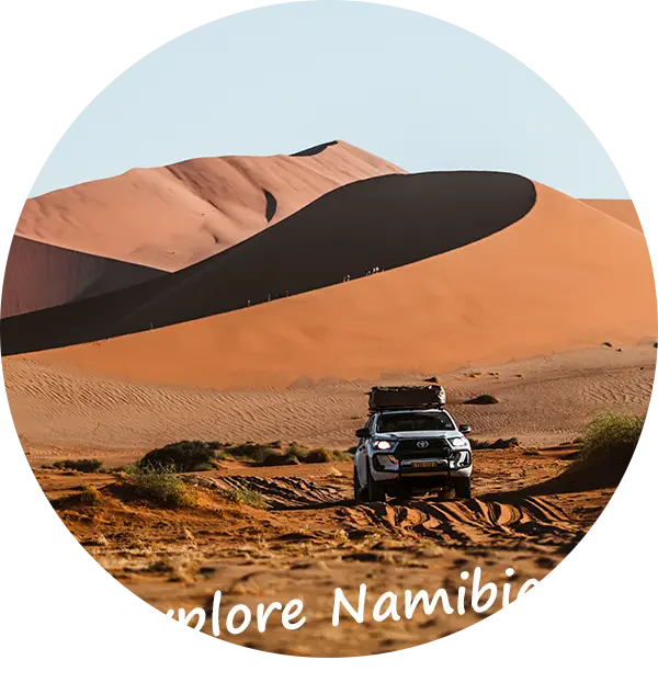 self-drive vakanties aan én privé safari-autohuur-namibie