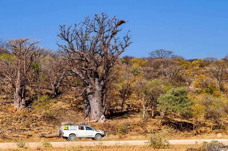 Namibia-Self-Drive-Safari-Quotations-Explore-Namibia