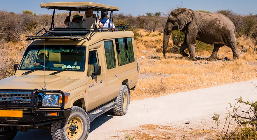 Namibië Privé safari's met gids en chauffeur
