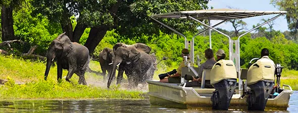 Namibië Self-Drive Bouwsteen Victoria Watervallen en Chobe