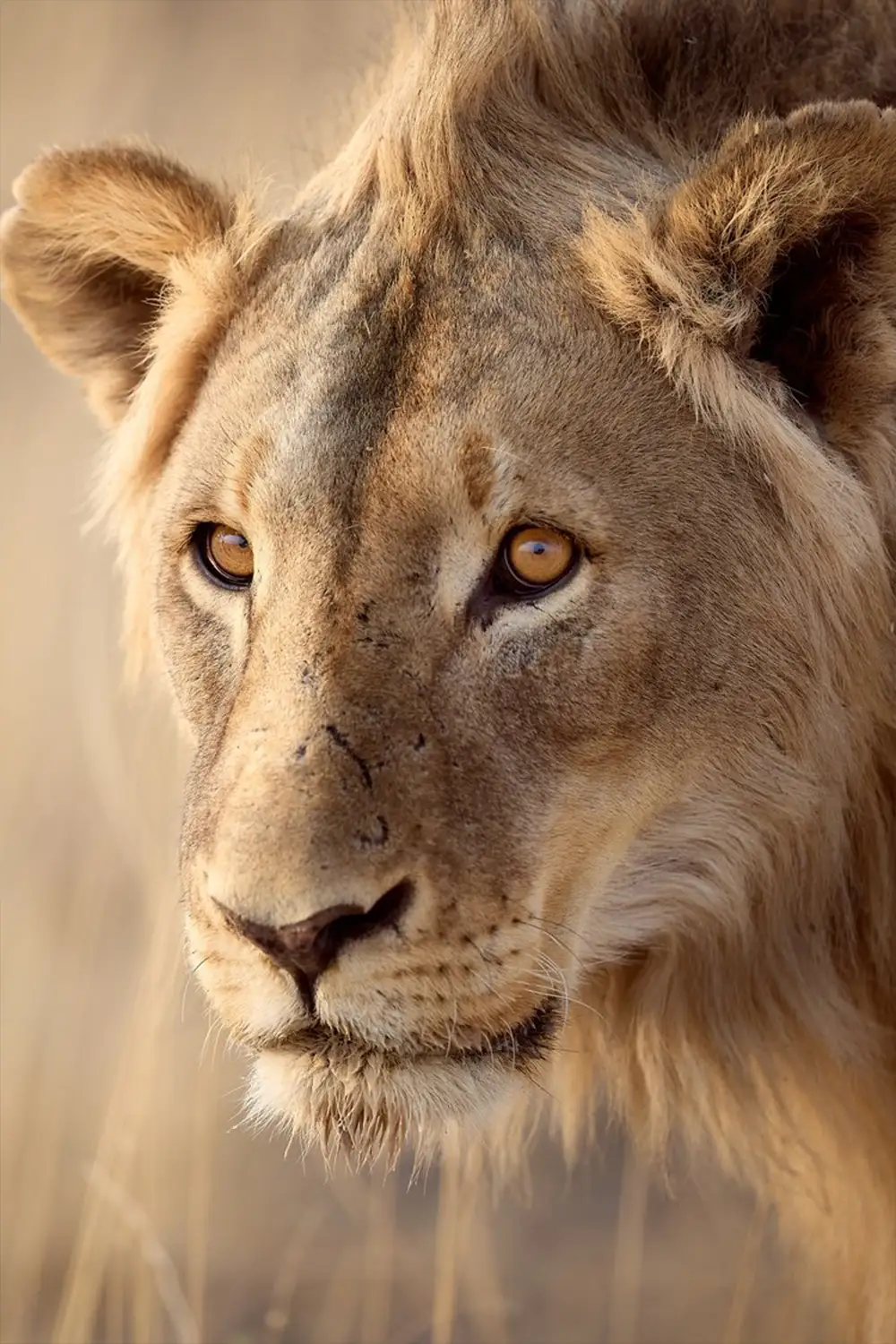 Begeleide Fotoreis-Iconisch-Namibië-Etosha-National-Park